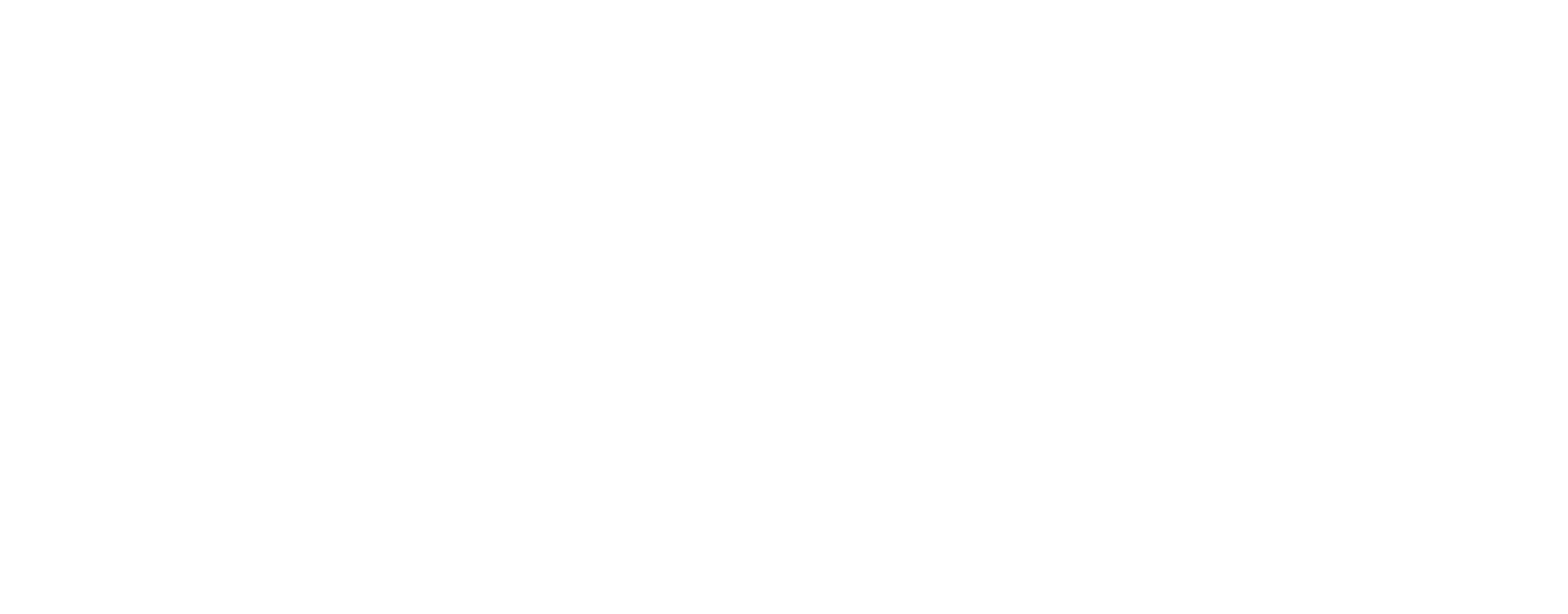 Bütschi Digital Systems